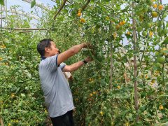 对出产从体进行了农产质量量平安相关法令律例